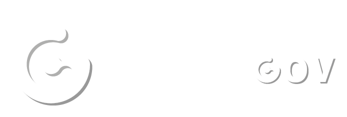 digital Gov